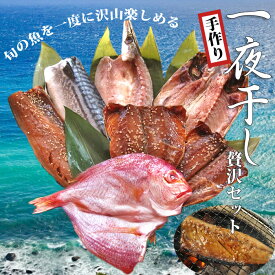 干物 詰め合わせ お中元 送料無料 ギフト 一夜干し 魚 3980円 セット 敬老の日 贈り物 送料無料 旬 おまかせ 2024酒の肴 プレゼント おつまみ のし 産直 美味しい おかず お歳暮 御年賀 福岡 御歳暮 おせいぼ 母の日 父の日