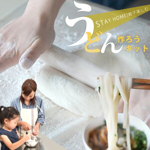 手作り うどん セット 手打ち 体験 キット 3〜4人前うどん粉 手打ちうどん 子供会 イベント 景品 交流会 送料無料 巣ごもり 応援 楽しい 讃岐うどん 美味しい 簡単 うどんだし 小学生 幼稚園