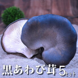 黒あわび茸 きのこ 生 とれたて 高級 【おひとり様5パック1セットまで】 滋賀県産 5パックスペシャルきのこマイスター 希少 きのこ炒め物 揚げ物 煮物 産地直送 とれたて おいしがうれしが new db