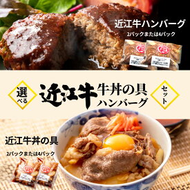 父の日限定　近江牛 煮込み ハンバーグ 牛丼の具 贈り物 お誕生日祝い 還暦祝い クリスマス 忘年会 ホームパーティー 御年賀 お歳暮 お中元 御祝い FD