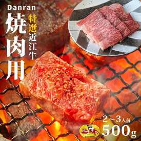 近江牛 焼肉用 500g 母の日 贈り物 焼肉 ギフト プレゼント 肉の日 特選 送料無料 土用の丑の日 土用の丑 土用 お歳暮 お中元 松阪牛 神戸牛 と並ぶ 国産 黒毛和牛 滋賀県 国産牛 牛肉 お肉 美味しい 高級 和牛 熨斗 のし バーベキュー BBQ アウトドア おいしがうれしが db