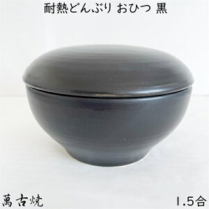 ϔMǂԂ Ђ  1.5 { ls ݌Ï ϔM M4811