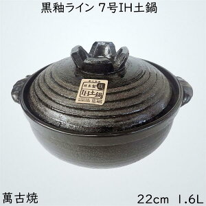 փC y IHΉ 7 { ls΂񂱏 11667