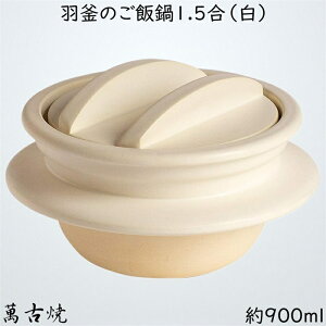  ݌Ï H ѓ 1.5  21-97