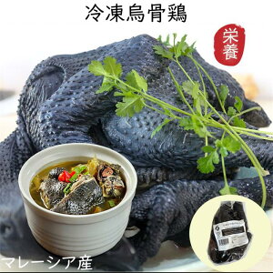 yⓀzG{ ij G{ X[v̑f ی{ { h{@Y G{ Ɩp@}[VAY 600gO