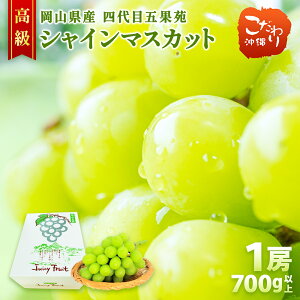 岡山県産 高級 五果苑シャインマスカット 1房 700g以上 ぶどう マスカット 岡山 有名農園 贈り物 香り 上品 おいしい パリッと食感 新鮮 甘い 旬の味覚 フルーツ 果物 人気 品種 ブランド 国産