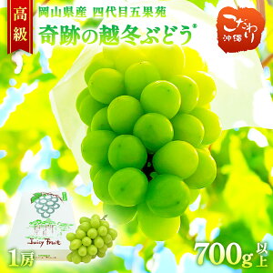 Ղ̉z~Ԃǂ RY  ܉ʉ VC}XJbg 1[ 700gȏ Ԃǂ }XJbg R L_ 蕨  i  pbƐH VN Â {̖o t[c ʕ l