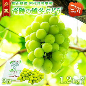 Ղ̉z~Ԃǂ RY  ܉ʉ VC}XJbg 2[ 1.2kgȏ Ԃǂ }XJbg R L_ 蕨  i  pbƐH VN Â {̖o t[c ʕ l