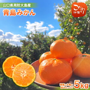 yzRY h哇 ݂ 5kg B ݂ Љ_ ς x B Yn Ïn Z B݂ { t[c Â {̖o ʕ lC i Y  k 