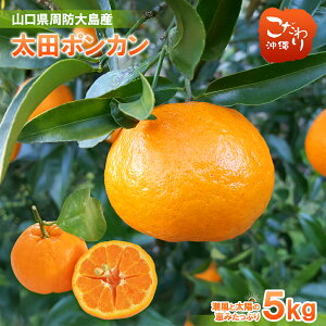 yzRY h哇 c|J 5kg ۂ񂩂 ݂ Љ_ ZȊÂ x VLVLH Yn Ïn ʏ`Ղ { t[c Â {̖o ʕ lC i 