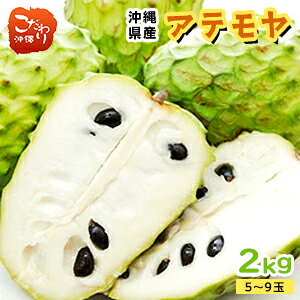 ꌧ[Y Ae 2kgi5~9ʁj x J[  썑 ʕ `F X̃ACXN[ oj N[~[ ߉ޓ  ґ Mtg 蕨 ZȊÁ`t