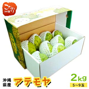 ꌧ[Y Ae 2kgi5~9ʁjϔ x J[  썑 ʕ `F X̃ACXN[ oj N[~[ ߉ޓ  ґ Mtg 蕨 ZȊÁ`t