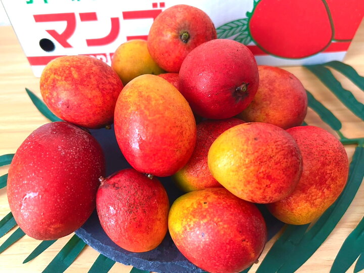 楽天市場】【送料無料・数量限定】沖縄県産完熟ミニマンゴー 1kg・2kg 