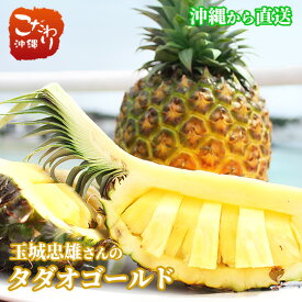 【送料無料】玉城忠男さんのタダオゴールド（ゴールドバレル）【沖縄県産　東村産　パイナップル　パイン】7月上旬より発送開始予定！【指定日不可】