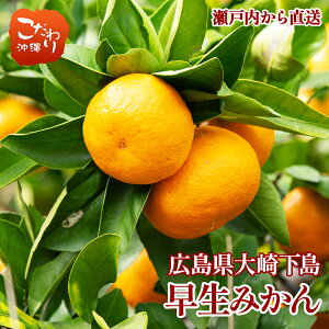 L 艺Y _ ݂ 5kg 10kgy˓ ΐς݂̒iXœǍD L  k̗ ԐlCi V_݂ Z Â Â RN  ₷ W[V[ 