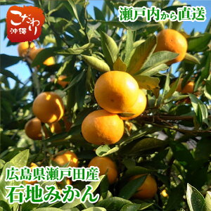 【送料無料】広島県瀬戸田産 有光農園 石地みかん 約5kg【 瀬戸内 広島 柑橘の里 呉市発祥 高級みかん】