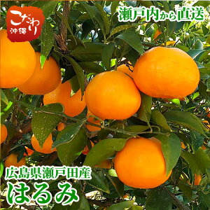 L˓cY L_ ͂ 5kgy˓ L k̗ Âĉʏ`Ղ 嗱ʓ ^S[ |J xz