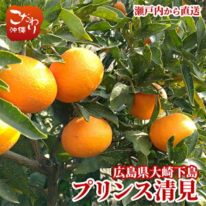 L 艺Y _ vX 5kgy gr^IW V Fȍ Î_ςʏ`Ղ 󏭕i ˓ ϓx13x`14x nƎ_قǂ悭