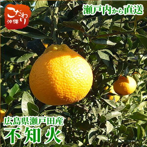 L˓cY L_ sm 5kgy˓ L k̗ 荂 ʏ`Ղ 킪Ȃ ZȊÂ }ChȎ_ ʂ fR| IW |Jz