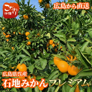 【送料無料】広島県呉産 通宝農園 石地みかん プレミアム 約5kg【 瀬戸内みかん 広島 呉 上蒲刈島】