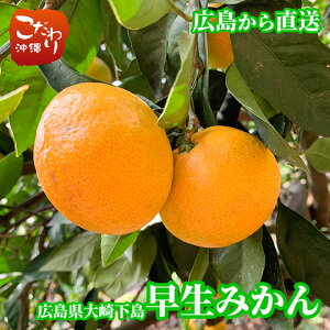 yZ[ΏەizyzL艺Y __ ݂ Mtgp 5kg 10kgy ˓ iX ǍD L  k̗  Ε ݂ ~J z