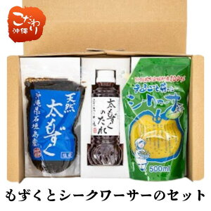 yzΊ_YVRƃV[N[T[MtgZbgi500g×1 ̃^×1{ V[N[T[500ml×1) 蕨 Mtg  Ε ̓ ̓ hV̓  h{ 