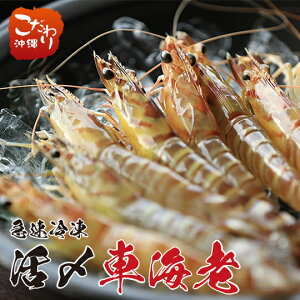 y szY}ⓀԃGr@500gE1pi25`29E14cmjyԂ @ԊCV vēY ꌧY Mtg Εz