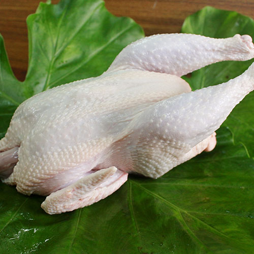 自然豊かな久米島赤鶏牧場で育った安心 安全の鶏です まとめ買い特価 代引不可 丸鶏ホール 久米島赤鶏 限定モデル 約3ｋｇ