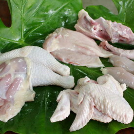 【代引不可】久米島赤鶏　正肉1羽セット