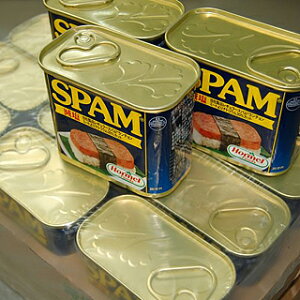 y@܂Ƃߔłzz[@Xp@@340g ×1P[X(24ʓ)yꌧ@SPAM@|[N@|[N`~[g@HORMEL@@@@hЁ@~@Hz