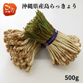 沖縄県産島らっきょう 500g（土付き）沖縄県産　島らっきょう　らっきょう　ラッキョウ
