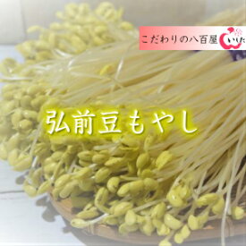 弘前豆もやし　お徳用パック3束入り　2500円【送料込み】