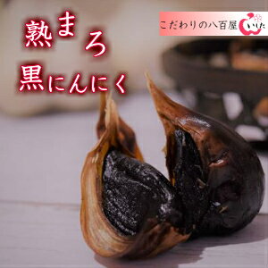 n܂덕ɂɂ@ppbN5R@3980~@y݁z