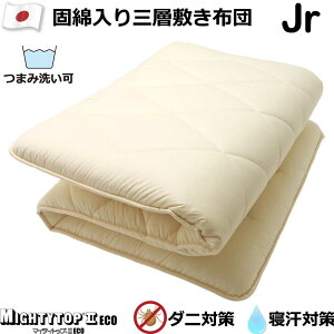 コンパクト キャリア 採用する 帝人 布団 洗える Luce Beauty Jp コンパクト キャリア 採用する 帝人 布団 洗える Luce Beauty Jp