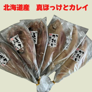 kCY JC  ق J 銱 Zbg    ߈Zbgɂ܂BH@[H ϕ BBQ Ɩp ٓ ɂ@zj hV̓ CN  ܂ k