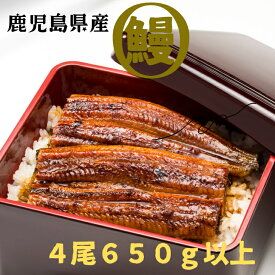 【父の日】鹿児島県産 有頭 腹開き 鰻 (計650g以上 / 165g以上×4尾) うなぎ 鰻 ウナギ 4尾 国産 九州産 蒲焼き かばやき 冷凍 うな重 ひつまぶし タレ 山椒 ランキング 人気 海鮮 魚介 おつまみ 北九州市 魚市場 お歳暮 お中元 クリスマス