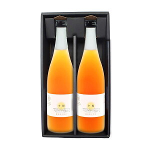 n썂~hN [~(䂤) 710ml×2{ Mtg ϔ ߃^Cv W[X Zk I Vbv() Mtg  䒆 Ε Ε ̓ ̓ hV̓