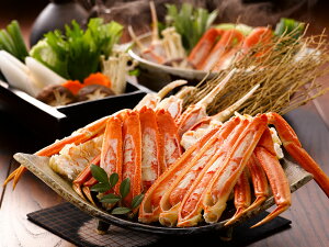 Ε {C{킢 800KHSijl Mtg  Ε ~Mtg