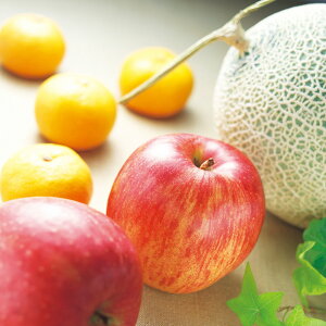 Ε {̃t[cMtg AD-SFT50ijl Mtg  Ε ~Mtg