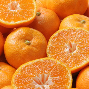 お歳暮 和歌山県産 有田みかん 2.5kg fw-ar2-5kg(送料無料)熨斗 ギフト 贈答 歳暮 冬ギフト