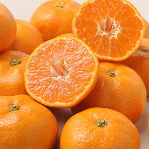 Ε Q݂ 2kg fw-em2kgijl Mtg  Ε ~Mtg