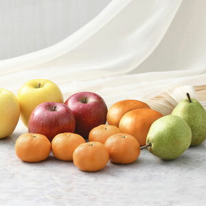 Ε ~̏{ʋl fw-fskN2ijl Mtg  Ε ~Mtg