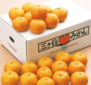 Ε ÉY O݂ 2.5kg fw-mib2-5kijl Mtg  Ε ~Mtg