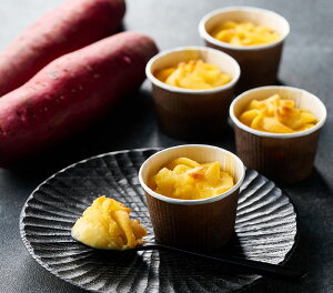 Ε F{ Ƃ낯qĂXC[g|eg SIH-001ijl Mtg  Ε ~Mtg