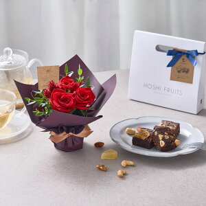 zVt@[ ~jAWg[WzVt[cґuEj[3 FMU-02D()  Mtg v[g ̓