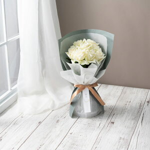 zVt@[ ͂pł̂܂܏X^fBOKNu[P sA8{ FMZ-01B()  Mtg v[g ̓