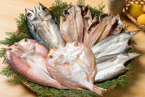 CNꎬJZbg KU-51() Ñ 񂱑 ܂ ^ ^ BߊC  Mtg  ̓ ̓ Ε