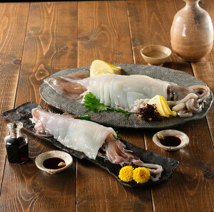 ̐Hה׃Zbg YF-001()  Mtg  ̓ ̓ Ε