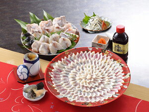 ӂtR[XFR-300F10ZsⓀtij Mtg  䒆 Ε Ε ̓ ̓ hV̓