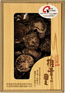 ő̗ 啪Yő B1065614 퉷ij  Mtg  䒆 Ε Ε ̓ ̓ hV̓